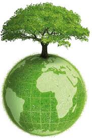 Icon of Ecologia